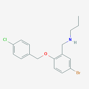molecular formula C17H19BrClNO B223926 N-{5-bromo-2-[(4-chlorobenzyl)oxy]benzyl}-N-propylamine 