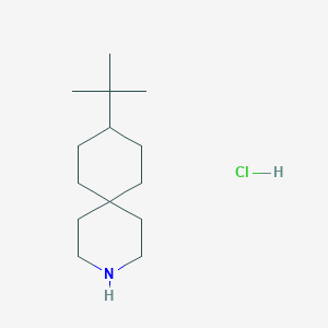 molecular formula C14H28ClN B224026 9-Tert-butyl-3-azaspiro[5.5]undecane;hydrochloride CAS No. 1206-27-5
