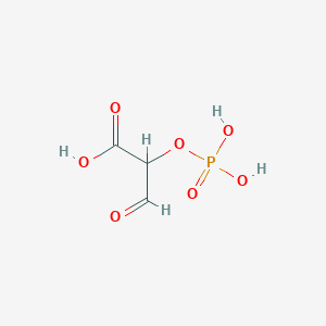 molecular formula C10H15BrO B225941 3-Oxo-2-phosphonooxypropanoic acid CAS No. 14886-81-8