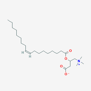 molecular formula C25H47NO4 B228390 油酰肉碱 CAS No. 13962-05-5
