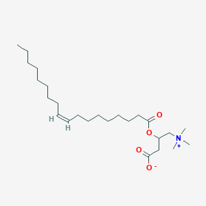 molecular formula C25H47NO4 B228390 Oléoylcarnitine CAS No. 13962-05-5