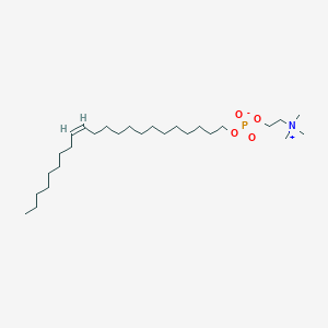 molecular formula C27H56NO4P B233180 Erucylphosphocholine CAS No. 143317-74-2