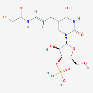 molecular formula C14H19BrN3O10P B233307 [(2R,3S,4R,5R)-5-[5-[(E)-3-[(2-bromoacetyl)amino]prop-2-enyl]-2,4-dioxopyrimidin-1-yl]-4-hydroxy-2-(hydroxymethyl)oxolan-3-yl] dihydrogen phosphate CAS No. 144978-95-0