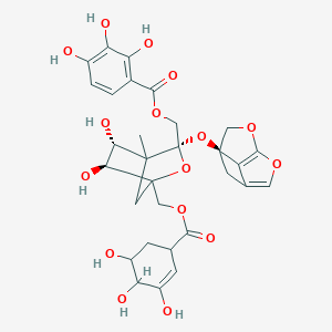 molecular formula C30H32O16 B234655 Galloyloxypaeoniflorin CAS No. 145898-93-7