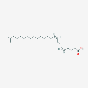 23-Methyl-5,9-tetracosadienoic acid