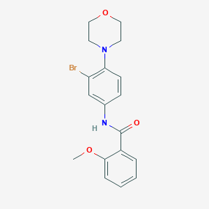 molecular formula C18H19BrN2O3 B235354 N-[3-bromo-4-(4-morpholinyl)phenyl]-2-methoxybenzamide 