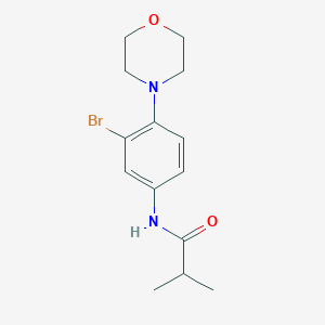 molecular formula C14H19BrN2O2 B235387 N-[3-bromo-4-(4-morpholinyl)phenyl]-2-methylpropanamide 