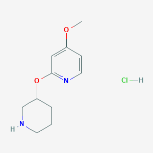 molecular formula C11H17ClN2O2 B2353918 4-Methoxy-2-(piperidin-3-yloxy)pyridinehydrochloride CAS No. 1707714-44-0