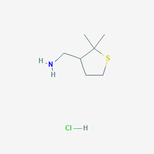 molecular formula C7H16ClNS B2353928 (2,2-Dimethylthiolan-3-yl)methanamine hydrochloride CAS No. 2173996-20-6