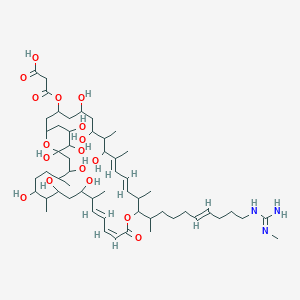 molecular formula C56H95N3O17 B235462 3-[[(10E,12E,18Z,20E)-5,7,9,23,25,27,31,33,34,35-decahydroxy-8,10,14,22,26,30-hexamethyl-15-[(E)-10-[(N'-methylcarbamimidoyl)amino]dec-6-en-2-yl]-17-oxo-16,37-dioxabicyclo[31.3.1]heptatriaconta-10,12,18,20-tetraen-3-yl]oxy]-3-oxopropanoic acid CAS No. 143906-47-2