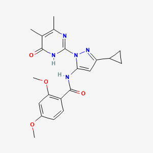 molecular formula C21H23N5O4 B2356211 N-(3-环丙基-1-(4,5-二甲基-6-氧代-1,6-二氢嘧啶-2-基)-1H-吡唑-5-基)-2,4-二甲氧基苯甲酰胺 CAS No. 1203291-67-1