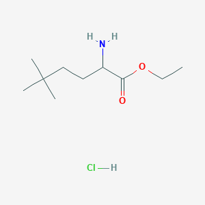 molecular formula C10H22ClNO2 B2356287 Ethyl 2-amino-5,5-dimethylhexanoate;hydrochloride CAS No. 2170123-24-5