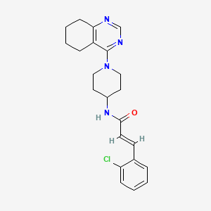 molecular formula C22H25ClN4O B2356428 (E)-3-(2-chlorophenyl)-N-(1-(5,6,7,8-tetrahydroquinazolin-4-yl)piperidin-4-yl)acrylamide CAS No. 1904632-08-1