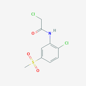 molecular formula C9H9Cl2NO3S B2356494 2-氯-N-(2-氯-5-甲磺酰苯基)乙酰胺 CAS No. 793727-82-9