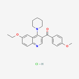 6-Ethoxy-3-(4-methoxybenzoyl)-4-(piperidin-1-yl)quinoline hydrochloride