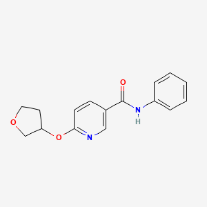 N-phenyl-6-((tetrahydrofuran-3-yl)oxy)nicotinamide