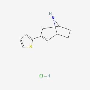 molecular formula C11H14ClNS B2358260 3-Thiophen-2-yl-8-azabicyclo[3.2.1]oct-2-ene;hydrochloride CAS No. 2241138-64-5