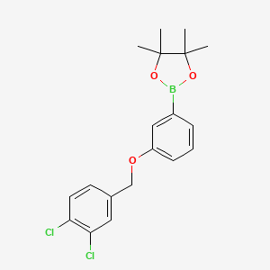 1,3,2-Dioxaborolane, 2-[3-[(3,4-dichlorophenyl)methoxy]phenyl]-4,4,5,5-tetramethyl-