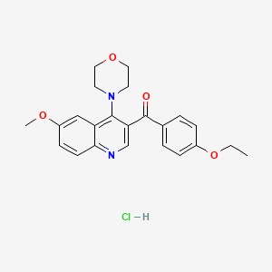 3-(4-Ethoxybenzoyl)-6-methoxy-4-(morpholin-4-yl)quinoline hydrochloride
