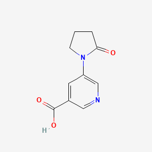 molecular formula C10H10N2O3 B2359263 5-(2-オキソピロリジン-1-イル)ピリジン-3-カルボン酸 CAS No. 1343197-66-9