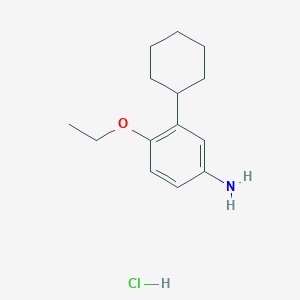 molecular formula C14H22ClNO B2359521 3-环己基-4-乙氧基苯胺 (HCl) CAS No. 1370411-52-1
