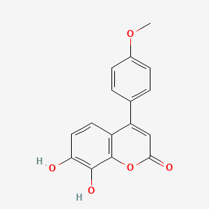 7,8-dihydroxy-4-(4-methoxyphenyl)-2H-chromen-2-one