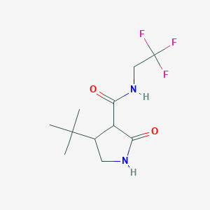 4-tert-butyl-2-oxo-N-(2,2,2-trifluoroethyl)pyrrolidine-3-carboxamide