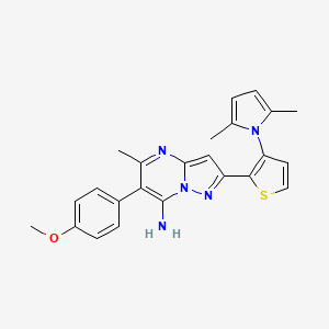 molecular formula C24H23N5OS B2360295 2-[3-(2,5-dimethyl-1H-pyrrol-1-yl)-2-thienyl]-6-(4-methoxyphenyl)-5-methylpyrazolo[1,5-a]pyrimidin-7-amine CAS No. 685109-44-8