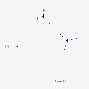 molecular formula C8H20Cl2N2 B2360673 N1,N1,2,2-四甲基环丁烷-1,3-二胺二盐酸盐 CAS No. 1909348-06-6