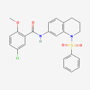 5-chloro-2-methoxy-N-(1-(phenylsulfonyl)-1,2,3,4-tetrahydroquinolin-7-yl)benzamide