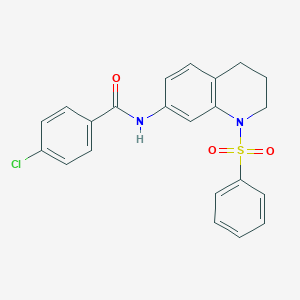 4-chloro-N-(1-(phenylsulfonyl)-1,2,3,4-tetrahydroquinolin-7-yl)benzamide