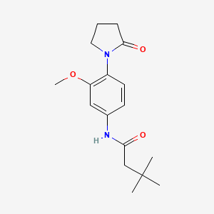 molecular formula C17H24N2O3 B2362812 N-[3-methoxy-4-(2-oxopyrrolidin-1-yl)phenyl]-3,3-dimethylbutanamide CAS No. 941956-93-0