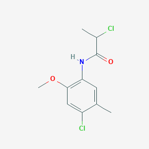 2-chloro-N-(4-chloro-2-methoxy-5-methylphenyl)propanamide