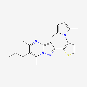 molecular formula C21H24N4S B2363268 2-[3-(2,5-二甲基-1H-吡咯-1-基)-2-噻吩基]-5,7-二甲基-6-丙基吡唑并[1,5-a]嘧啶 CAS No. 692287-85-7