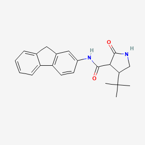 4-tert-butyl-N-(9H-fluoren-2-yl)-2-oxopyrrolidine-3-carboxamide