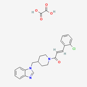 molecular formula C24H24ClN3O5 B2364720 (E)-1-(4-((1H-苯并[d]咪唑-1-基)甲基)哌啶-1-基)-3-(2-氯苯基)丙-2-烯-1-酮草酸 CAS No. 1351664-42-0