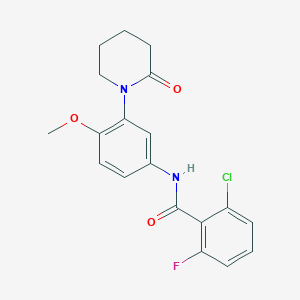 molecular formula C19H18ClFN2O3 B2365277 2-chloro-6-fluoro-N-(4-methoxy-3-(2-oxopiperidin-1-yl)phenyl)benzamide CAS No. 941919-67-1