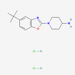 1-(5-Tert-butyl-1,3-benzoxazol-2-yl)-4-piperidinamine dihydrochloride