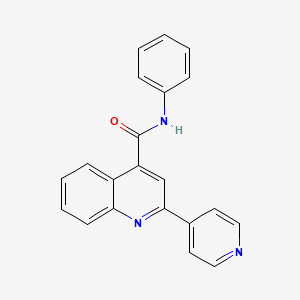 N-Phenyl-2-(pyridin-4-yl)quinoline-4-carboxamide