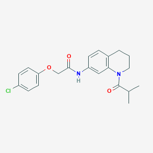 molecular formula C21H23ClN2O3 B2367682 2-(4-chlorophenoxy)-N-(1-isobutyryl-1,2,3,4-tetrahydroquinolin-7-yl)acetamide CAS No. 1005294-28-9