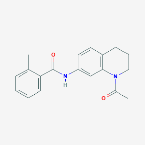 molecular formula C19H20N2O2 B2368125 N-(1-acetyl-3,4-dihydro-2H-quinolin-7-yl)-2-methylbenzamide CAS No. 898438-79-4