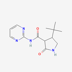 4-tert-butyl-2-oxo-N-(pyrimidin-2-yl)pyrrolidine-3-carboxamide