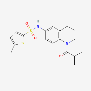 N-(1-isobutyryl-1,2,3,4-tetrahydroquinolin-6-yl)-5-methylthiophene-2-sulfonamide