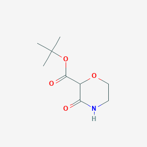 tert-Butyl 3-oxomorpholine-2-carboxylate