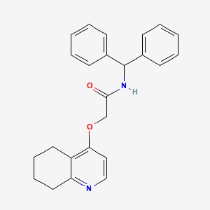 molecular formula C24H24N2O2 B2369962 N-二苯甲基-2-((5,6,7,8-四氢喹啉-4-基)氧基)乙酰胺 CAS No. 1798529-27-7