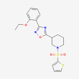 molecular formula C19H21N3O4S2 B2370203 3-[3-(2-ethoxyphenyl)-1,2,4-oxadiazol-5-yl]-1-(thiophene-2-sulfonyl)piperidine CAS No. 1105215-42-6