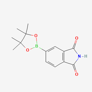 molecular formula C14H16BNO4 B2371225 5-(四甲基-1,3,2-二噁硼环氧乙烷-2-基)-2,3-二氢-1H-异吲哚-1,3-二酮 CAS No. 1220423-08-4