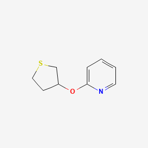 molecular formula C9H11NOS B2371337 2-(Thiolan-3-yloxy)pyridine CAS No. 2196213-75-7