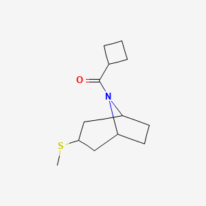 molecular formula C13H21NOS B2371950 cyclobutyl((1R,5S)-3-(methylthio)-8-azabicyclo[3.2.1]octan-8-yl)methanone CAS No. 1705829-24-8