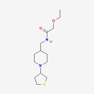 molecular formula C14H26N2O2S B2372547 2-乙氧基-N-((1-(四氢噻吩-3-基)哌啶-4-基)甲基)乙酰胺 CAS No. 2034481-68-8